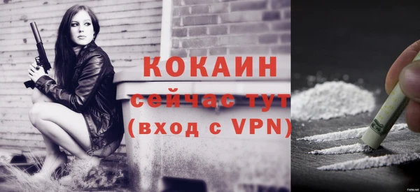 молекула духа Михайлов
