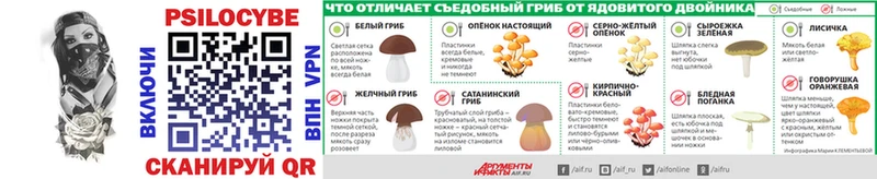 купить наркотики сайты Разумное Галлюциногенные грибы Cubensis